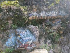 -南海湾森林生态园