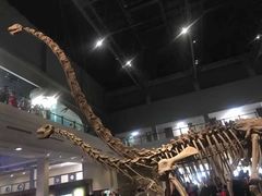 -自贡恐龙博物馆