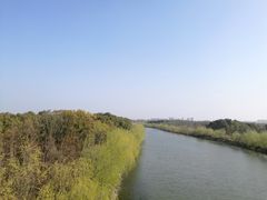 -广富林郊野公园