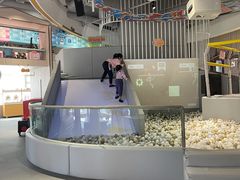 -森林象亲子餐厅·儿童生日会