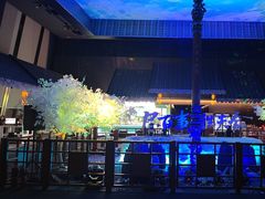 -上海环球金融中心骑迹50年环球之旅