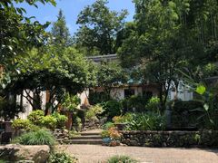 -Cafe In Little Forest