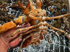 -501號台州海鲜餐厅(海创园店)