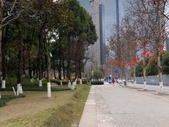 -重庆市江北嘴中央商务区中央公园