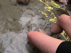 -罗浮山嘉宝田森林温泉度假酒店