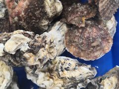 -仙螺岛海鲜自助餐厅(总店)