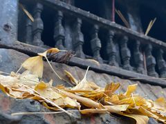 -金堂县云顶石城风景区