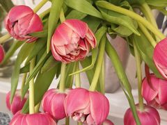 -Flower in(密渡桥店)