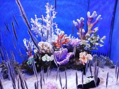 -多彩贵州城极地海洋世界