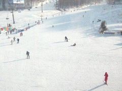 -长春莲花山滑雪场