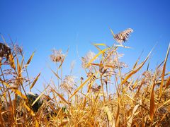 -中关村生命科学园