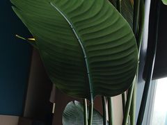 -儒之堂·足道养生SPA影院式(万融城店)