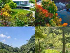 -云溪植物园