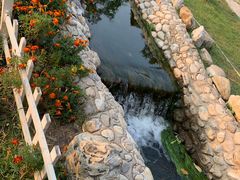 -静之湖湖畔餐厅