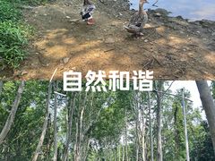 -紫金山山顶公园