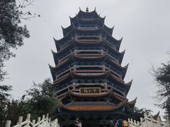 -铁山坪森林公园