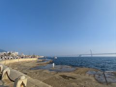 -星海湾跨海大桥