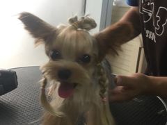 -1013 PET SHOP 宠物商店(近铁城市广场店)