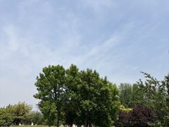 -圣露庄园·露营·烤肉·亲子
