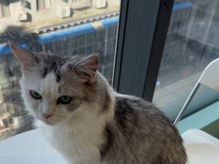 -怪兽屋·羊驼·猫咖·狗咖(俊华广场店)