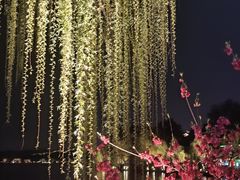 -西湖外事游船(花港观鱼码头)