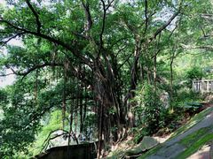 -乌山风景区
