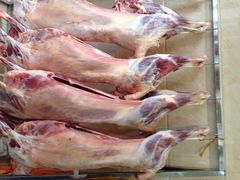 精品手抓-兰州老马食府(小潞邑店)