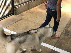 -TrueLove @ Neverland (Husky Cafe)