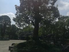 -韩湘水博园
