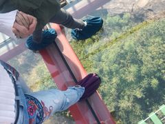 -清境桃源