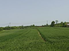-西安关中民俗艺术博物院
