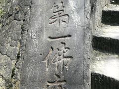 -大金鹰园