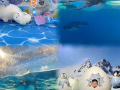 -海合安天津极地海洋公园