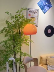 -变美丽半永久纹眉连锁·机器野生眉•洗眉