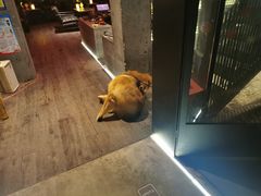 -饮湖威士忌鸡尾酒吧