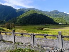 -大九湖