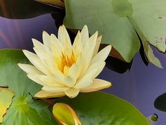-白鹭湾湿地公园