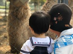 -长白岛森林公园