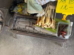 -西双版纳傣族园