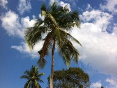 -Ministry of Crab(科伦坡店)