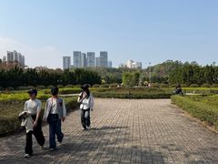 -南沙蒲洲花园