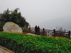 -铁山坪森林公园