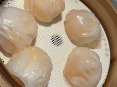 -金苑海鲜酒家(来魅力店)