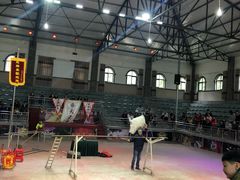 -洛阳马蹄泉旅游度假村