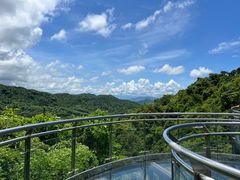 -海南槟榔谷黎苗文化旅游区