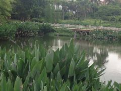 -金山植物公园