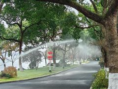 -浙江西子宾馆·瑶园咖啡厅