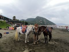 -台山黑沙湾海浴场