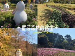 -云溪植物园