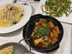 -丁老爷子苏香圆